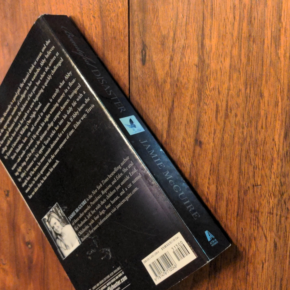 Beautiful Disaster Book - Picture 3 of 8